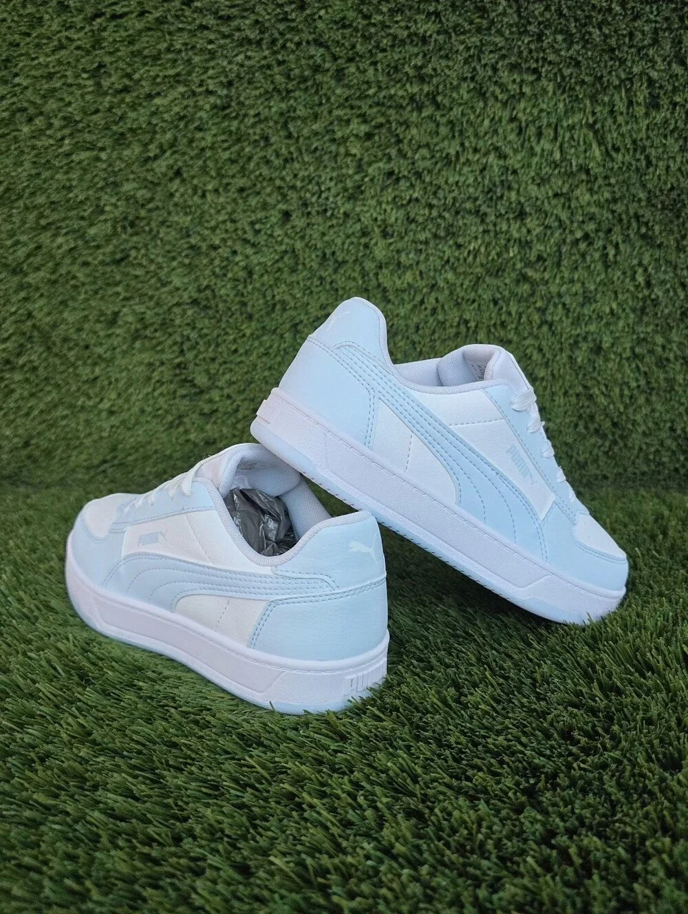 Puma caven low